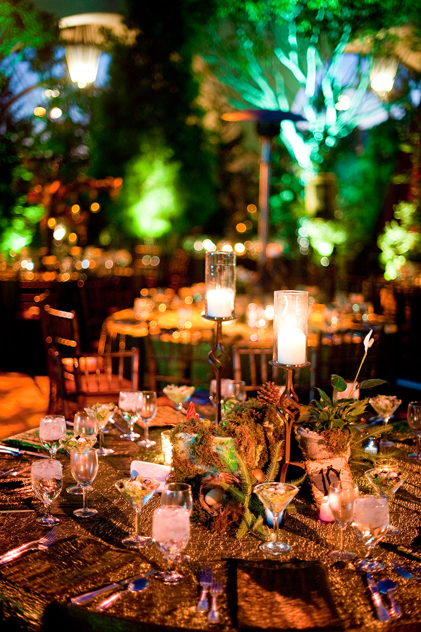 Enchanted Fairy Forest with Kenny Loggins