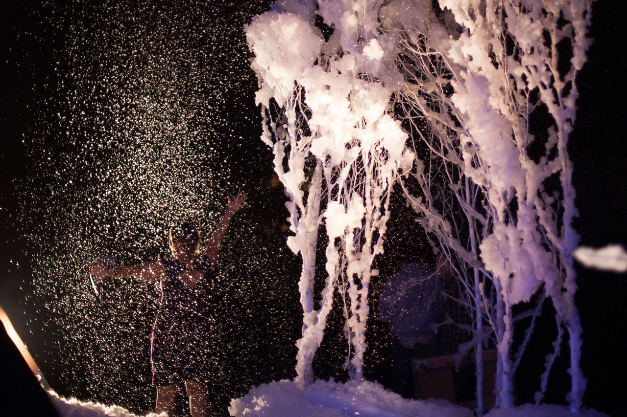 Elegant Corporate Holiday Party for Seven Hundred